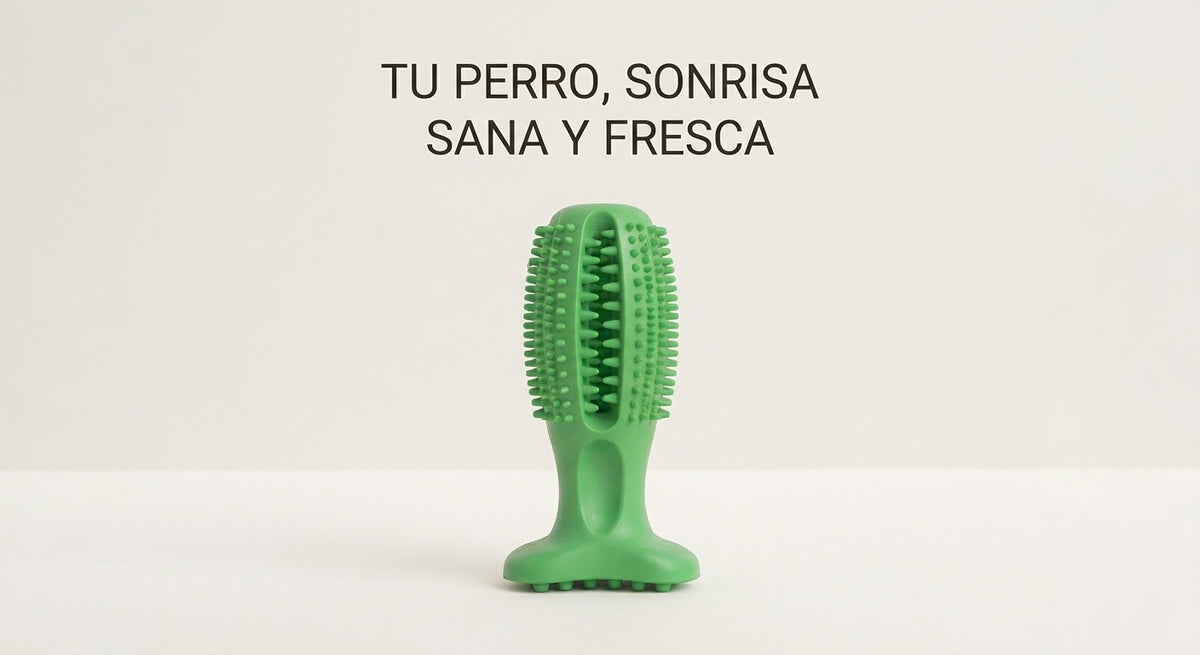 DentiPlay - Adiós a la pelea del cepillado: su rutina dental ahora es su juego favorito.