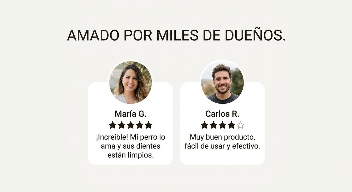 DentiPlay - Adiós a la pelea del cepillado: su rutina dental ahora es su juego favorito.